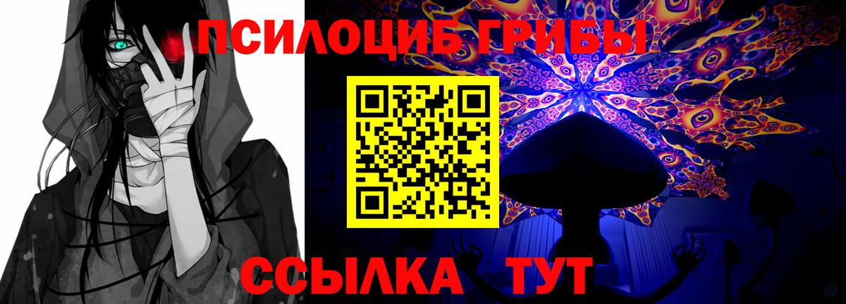 Галлюциногенные грибы Psilocybe Коряжма