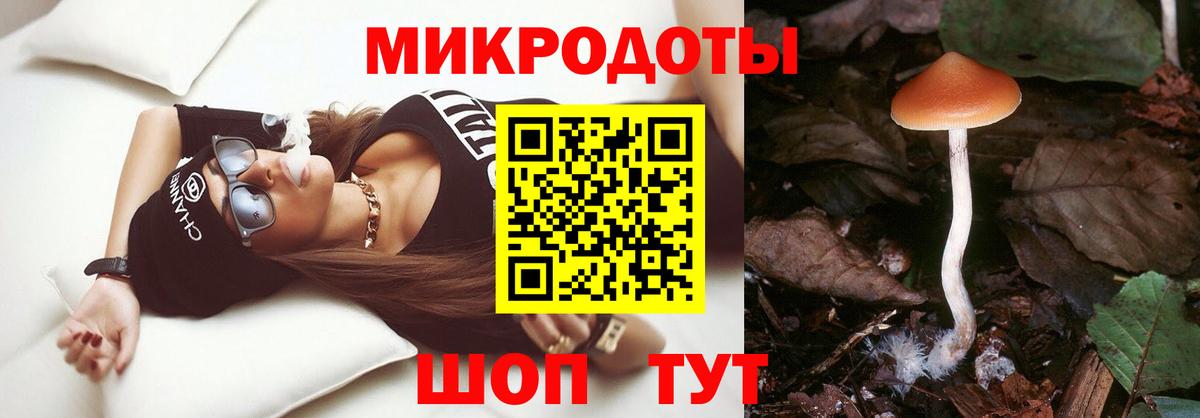 Псилоцибиновые грибы Cubensis  Вход с VPN  Коряжма 